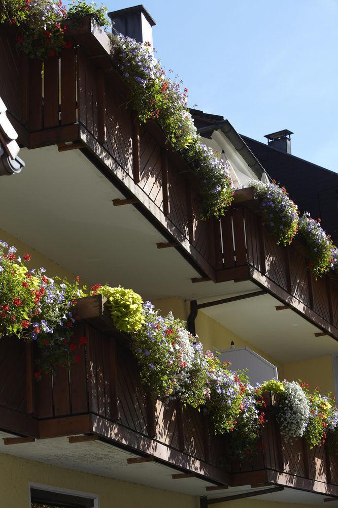 Hotel Garni Café Räpple Bad Peterstal-Griesbach Extérieur photo